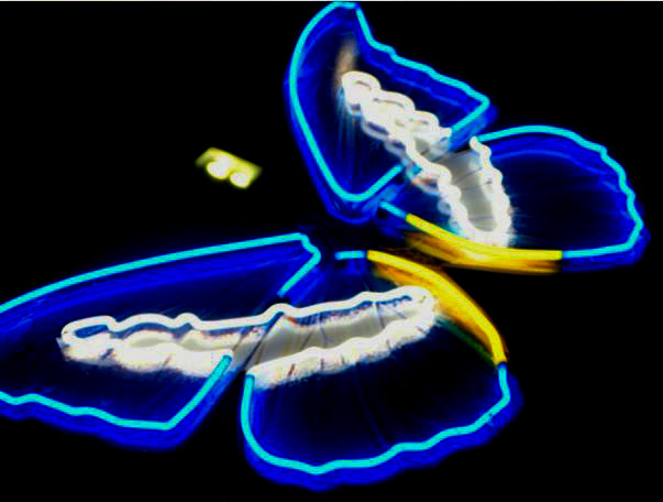 pillangó figura színes, világító neoncsövekből, neon dekoráció